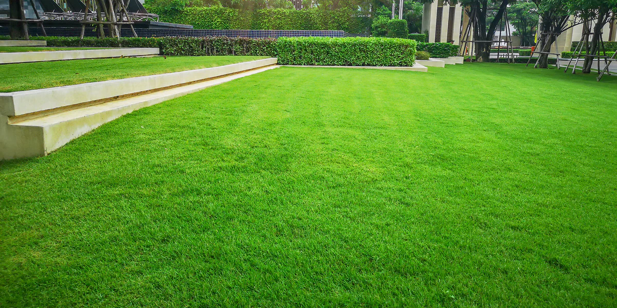 Elevating Your Outdoors: Professional Solutions for Lawn Vitality