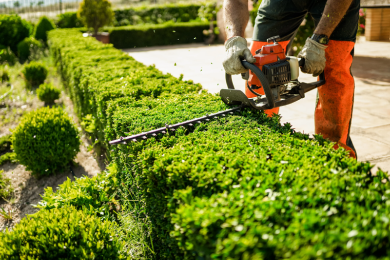 Enhancing Your Home: Top Services for a Safe and Beautiful Property