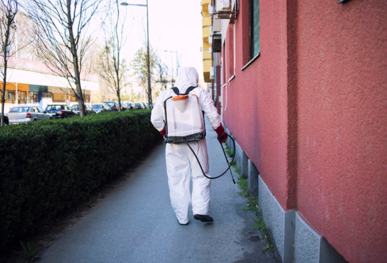 Common Pests in Forney: Signs Your Home Needs Expert Treatment