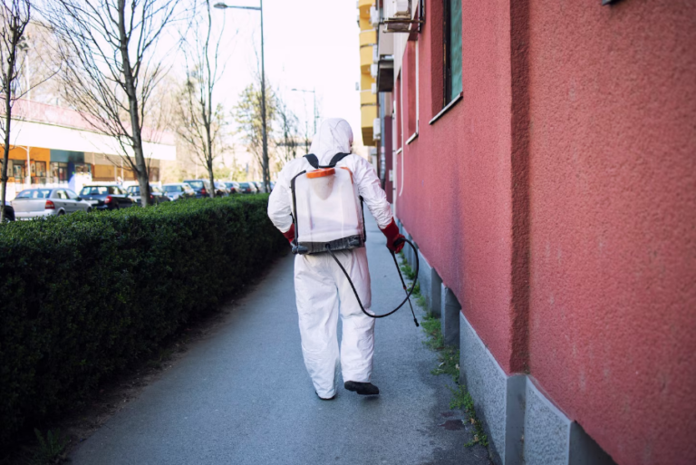 Protecting Your Redmond Home from Pests: Check Top Suggestions from Technicians